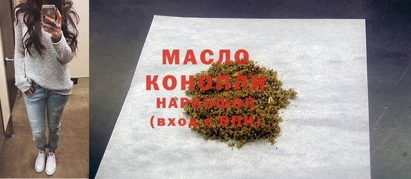 винт Няндома