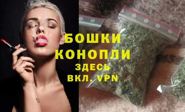 винт Няндома